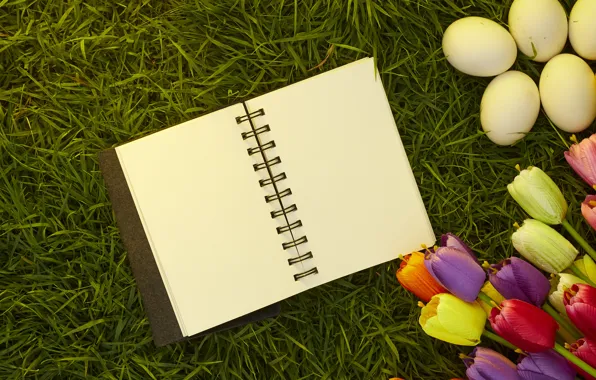 Picture grass, flowers, eggs, spring, colorful, Easter, tulips, wood, flowers, tulips, spring, Easter, eggs, decoration, Happy