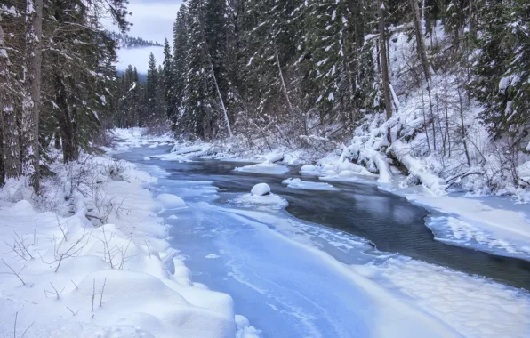 Picture winter, river, stream