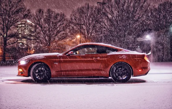 Picture Mustang, Ford, Red, Winter, 2016