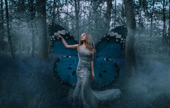 Picture forest, girl, mood, butterfly, dress, wings