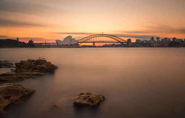 Picture bridge, night lights, Australia, Sydney, night lights