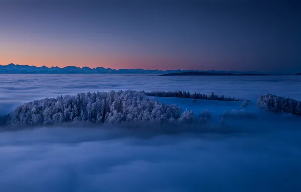 Picture winter, trees, mountains, fog, sunrise, dawn, Switzerland, Switzerland, Jura, Jura Mountains, the Jura mountains, Canton …