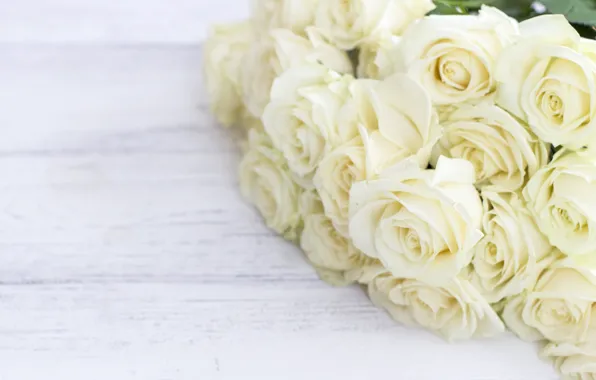 Picture flowers, roses, bouquet, white, white, buds, wood, flowers, roses