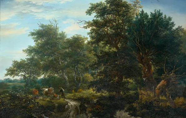 Picture landscape, oil, picture, Forest, Jacob van Ruisdael