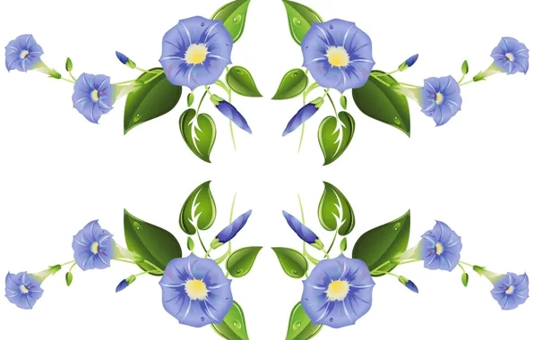 Picture purple, white background, vector graphics, bindweed