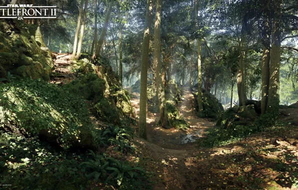Picture forest, nature, trail, Star Wars Battlefront 2, Mazs Castle Forest