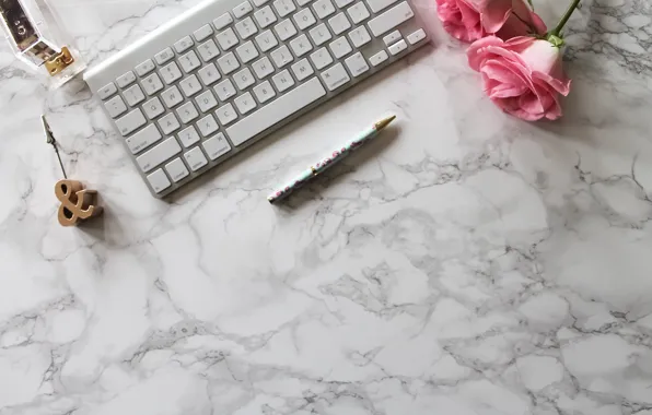 Picture roses, handle, pink, flowers, roses, keyboard, marble