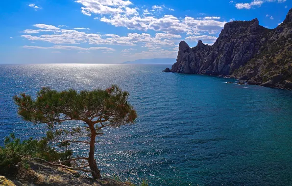 Picture sea, the sky, the sun, clouds, trees, rocks, coast, horizon, Crimea, Yalta