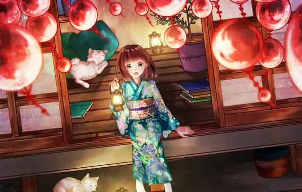 Picture cats, girl, lanterns
