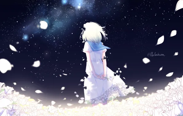 Picture collar, girl, The Milky Way, white roses, rose petals, art, starry sky, sailor, is back, …