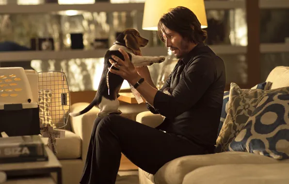 Picture the film, dog, male, Keanu Reeves, John Wick, John Wick, Keanu reeves