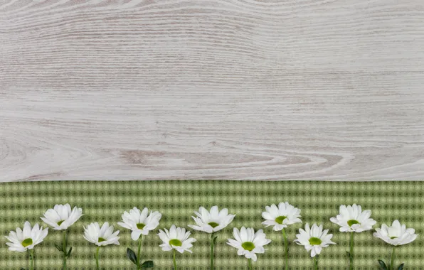 Picture flowers, background, fabric, chrysanthemum