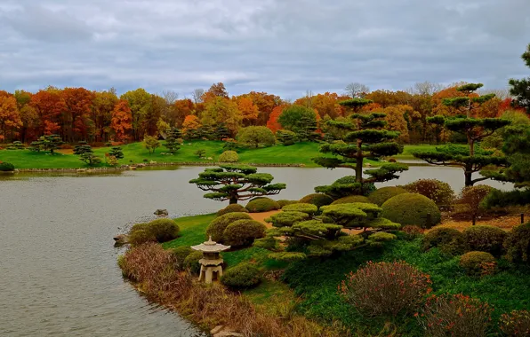 Picture autumn, grass, trees, design, pond, Park, Chicago, USA, the bushes, Botanic Garden