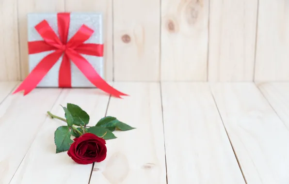 Picture flower, gift, Rose, Bud