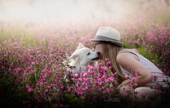 Picture girl, flowers, dog, spring