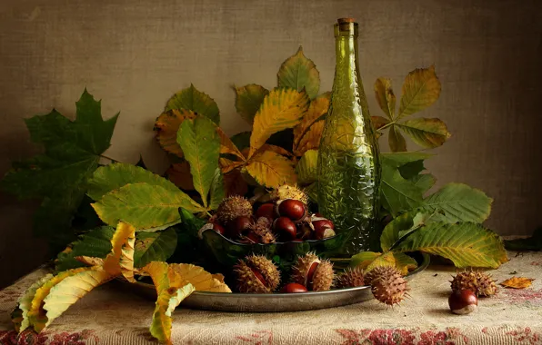 Picture leaves, bottle, blanket, fruit, bowl, still life, dish, chestnuts