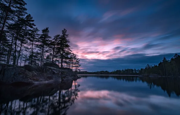 Picture forest, trees, lake, reflection, Sweden, Sweden, Easter Gotland, Norra Gryten