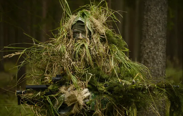 Picture forest, soldiers, disguise, sniper, rifle