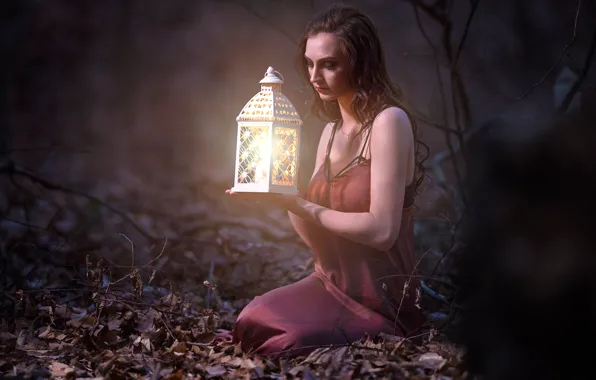 Picture forest, girl, mood, lantern