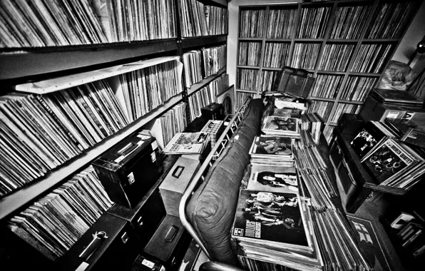 Picture Vinyl, Collection, Records