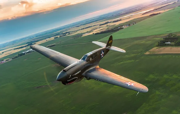 Picture flight, fighter, P-40, Warhawk