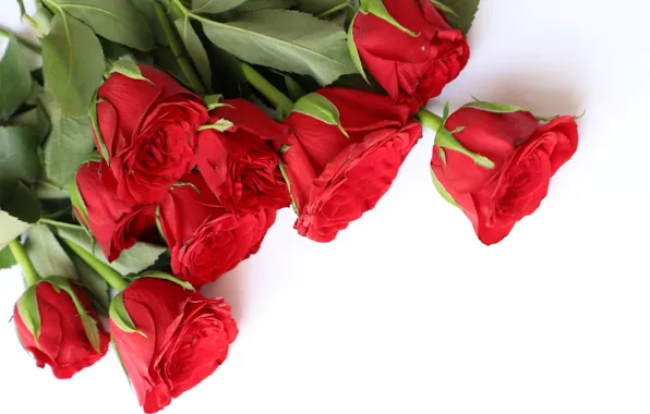 Picture love, flowers, roses, bouquet, red, red, wood, flowers, romantic, roses