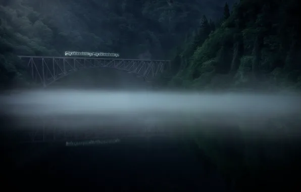 Picture forest, fog, river, train, morning