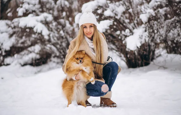 Picture winter, snow, nature, Girl, puppy, walk
