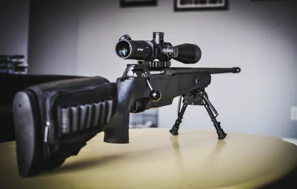 Picture sniper rifle, Sig Sauer, SSG 3000