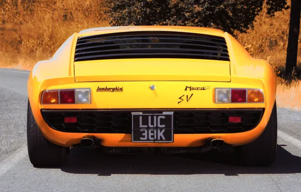 Picture Color, Auto, Yellow, Lamborghini, Machine, 1971, Car, Supercar, Back, Lamborghini Miura, P400, Miura, Lamborghini Miura …