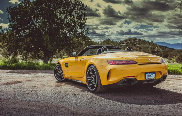 Picture car, Roadster, Mercedes, logo, yellow, vegetation, Mercedes Amg, Mercedes Amg Gt Roadster, Mercedes Amg Gt