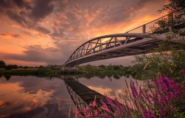 Picture flowers, bridge, river