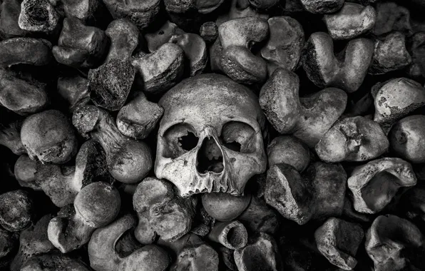 Picture stones, background, skull