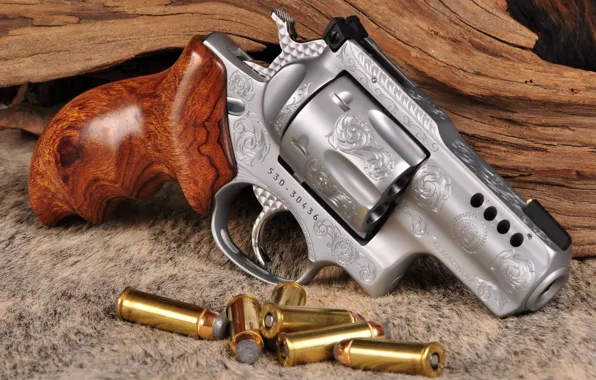 Picture weapons, revolver, weapon, engraving, custom, Smith & Wesson, engraving, 357 Magnum, revoler