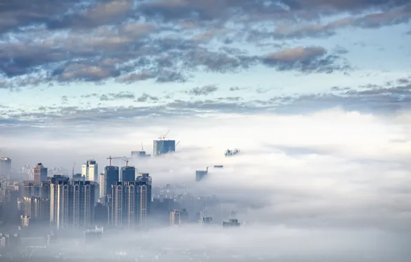 Picture the sky, the city, fog