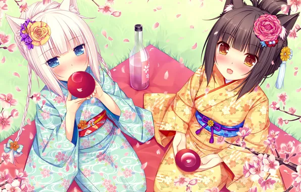 Picture girls, anime, petals, art, sake, nekopara
