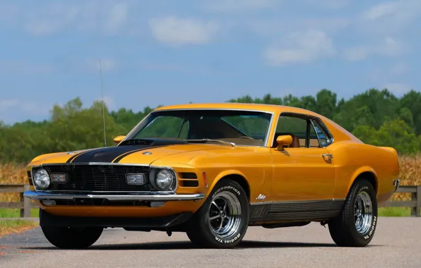 Picture Ford Mustang, 1970, Fastback, Mach 1, Muscle classic