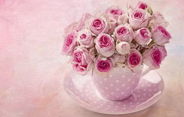 Picture background, roses, Flowers, bouquet, Flower, background, Floral