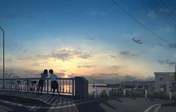 Picture bike, wire, seagulls, post, horizon, lantern, town, friend, on the bridge, two girls, sunset on …