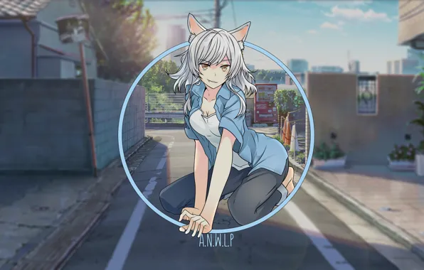 Picture cat, girl, street, anime, day, nothing, madskillz