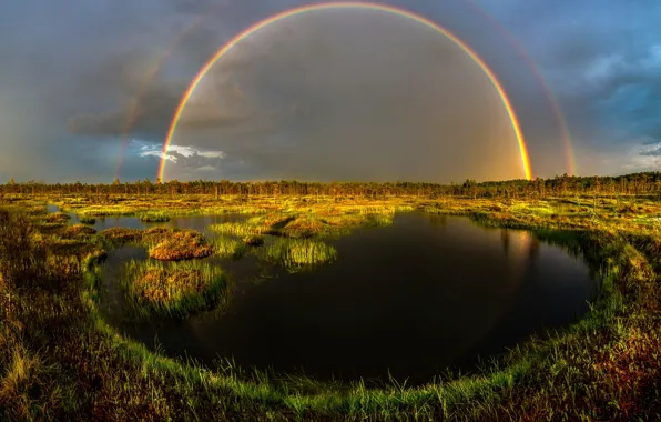 Picture swamp, rainbow, after the rain, Leningrad oblast