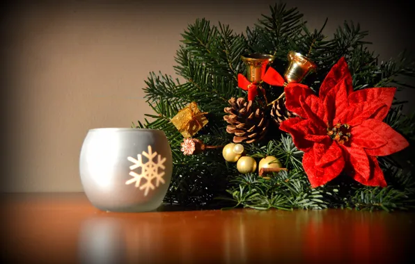 Picture flower, branches, new year, candle, bells, needles, bumps, decor, poinsettia