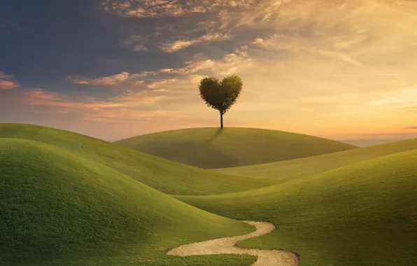 Picture field, the sky, grass, love, tree, heart, love, field, landscape, heart, beautiful, tree, romantic