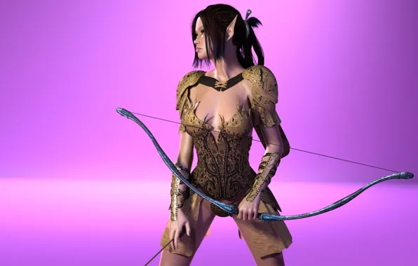 Picture girl, armor, bow, elf, pink background