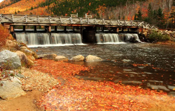 Picture Stream, Autumn, River, Fall, Bridge, Autumn, Colors, River, The bridge, Flow