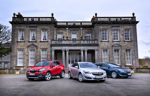 Picture Opel, mansion, cars, Metallic
