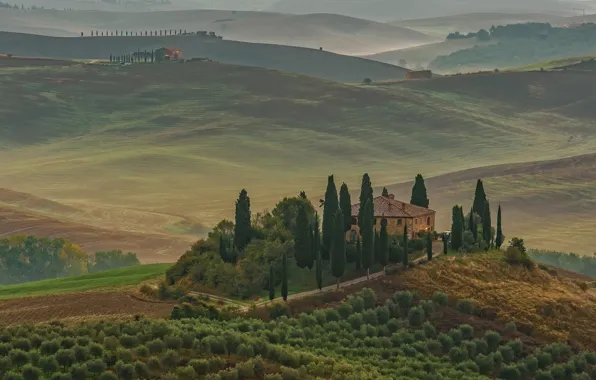 Picture house, hills, field, Italy, Tuscany