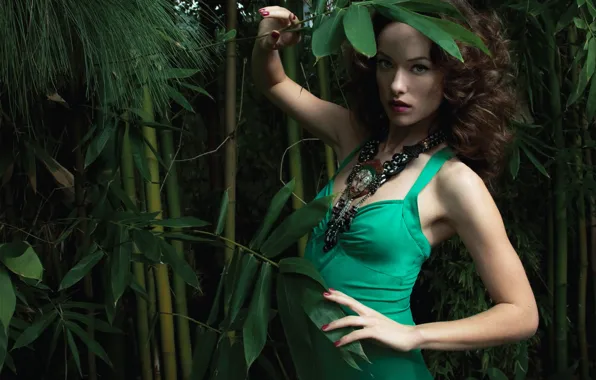 Picture girl, decoration, thickets, shadow, bamboo, dress, Olivia Wilde, Olivia Wilde, photoshoot