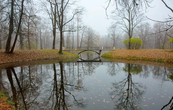 Picture autumn, bridge, reflection, river, Tsarskoye Selo