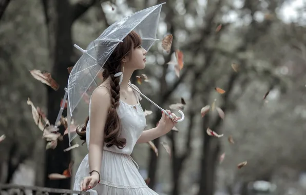 Picture leaves, girl, umbrella